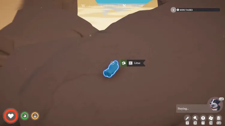 Litter