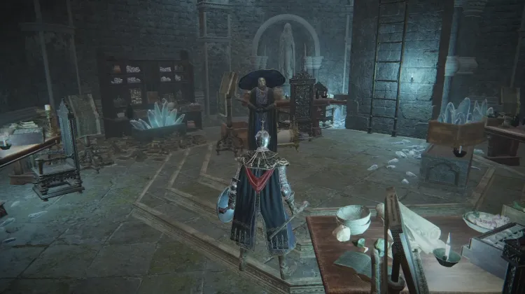 Preceptor Seluvis
