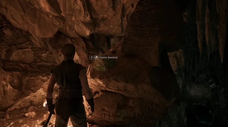 Foglia di Rugiada della Caverna