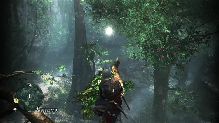 Animus Fragment