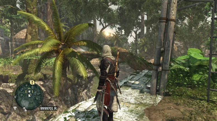 Animus Fragment