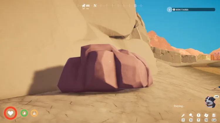 Quartz Rock x5