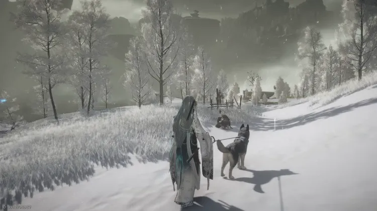 La Lama Attende