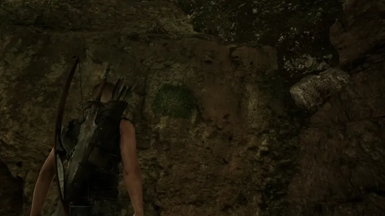 Foglia di Rugiada della Caverna