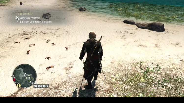 14. The Assassyn