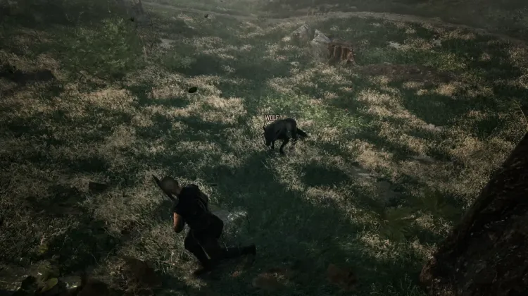 Lupo