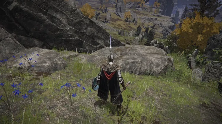 Juvenile Scholar Set