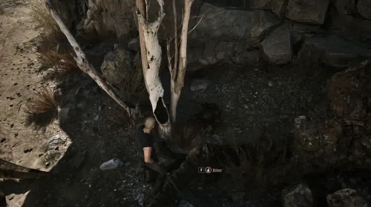 Feuille d'Orc