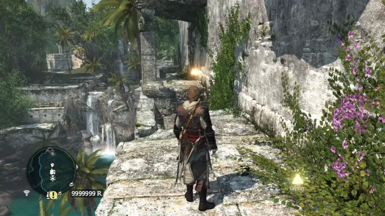 Animus Fragment