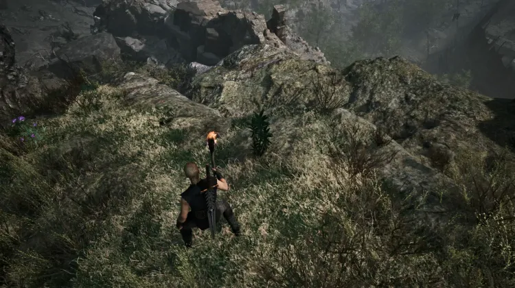 Dragonroot