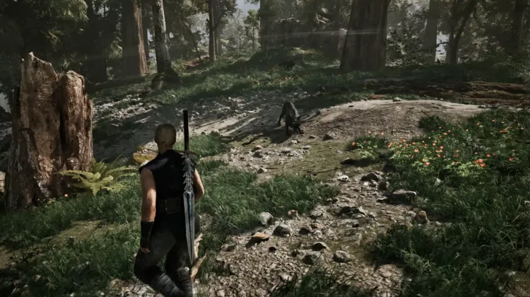 Wolf