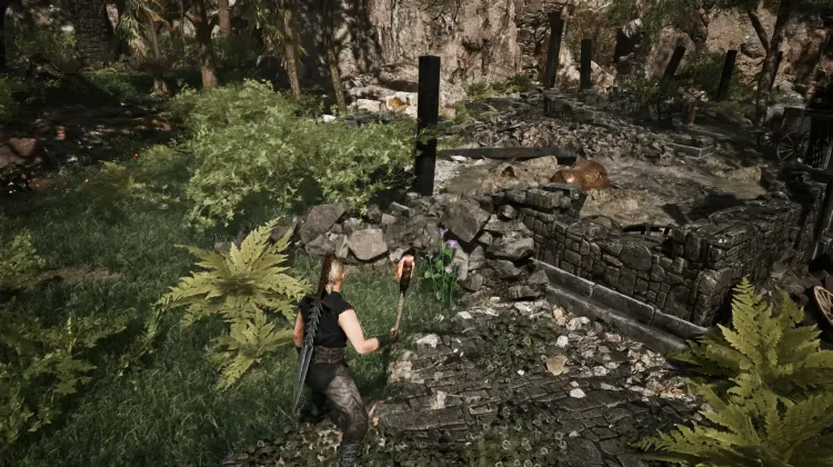 Darkshade