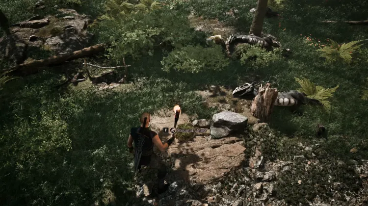 Mountain Moss