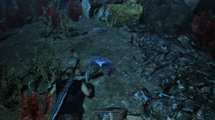 Siren's Hair