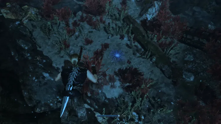 Siren's Hair
