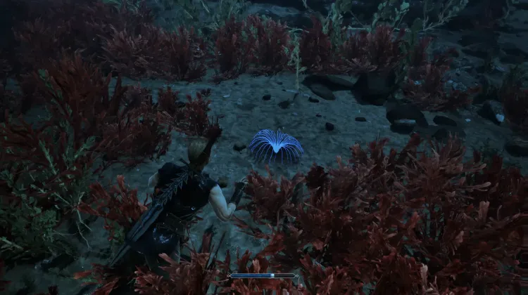 Siren's Hair