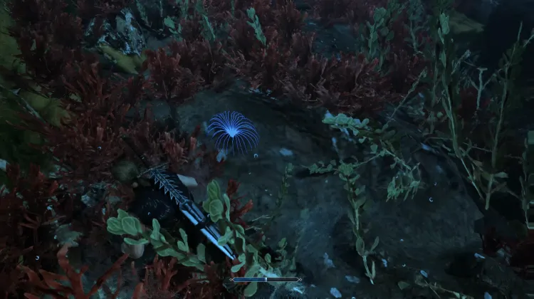 Siren's Hair