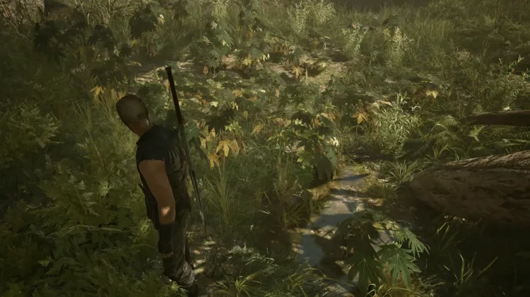 Swampweed