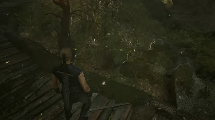 Swampweed