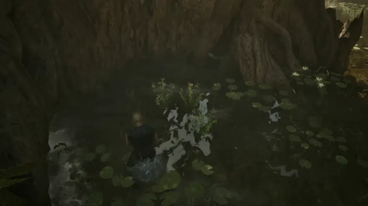 Healing Herbs 2x