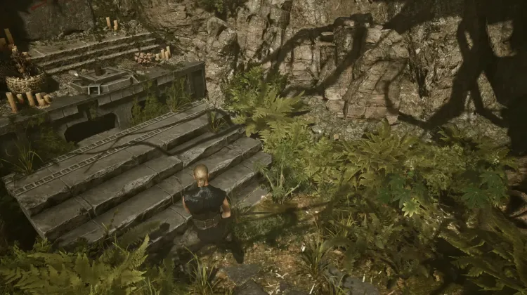 Swampweed