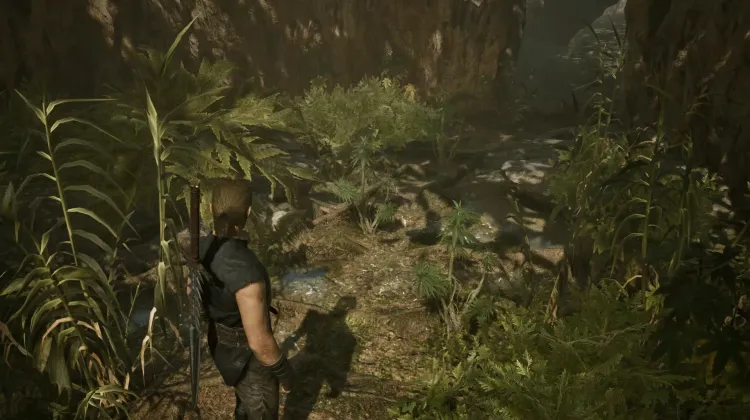 Swampweed