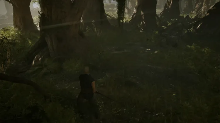 Swampweed