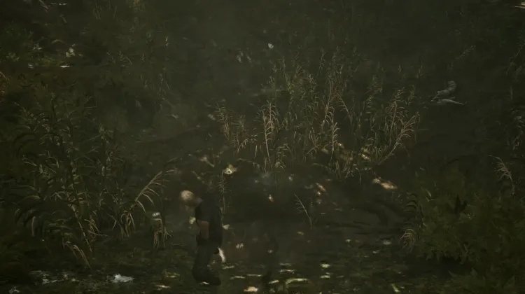 Swampweed