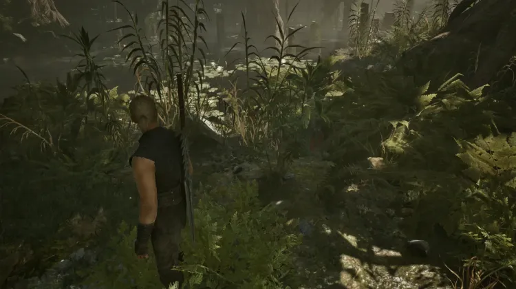 Swampweed