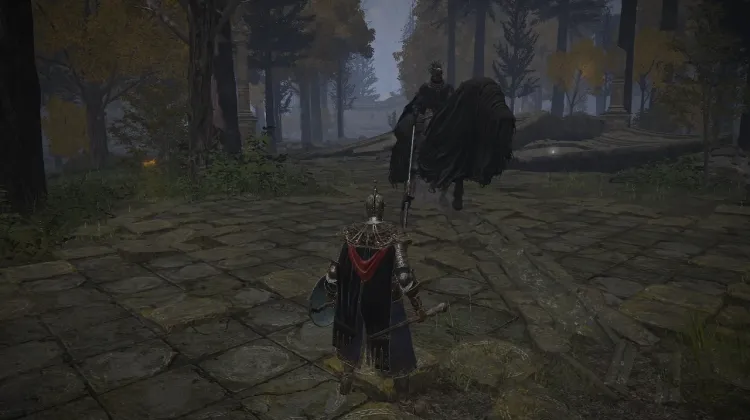 Cavaliere della Notte