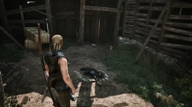 Pan
