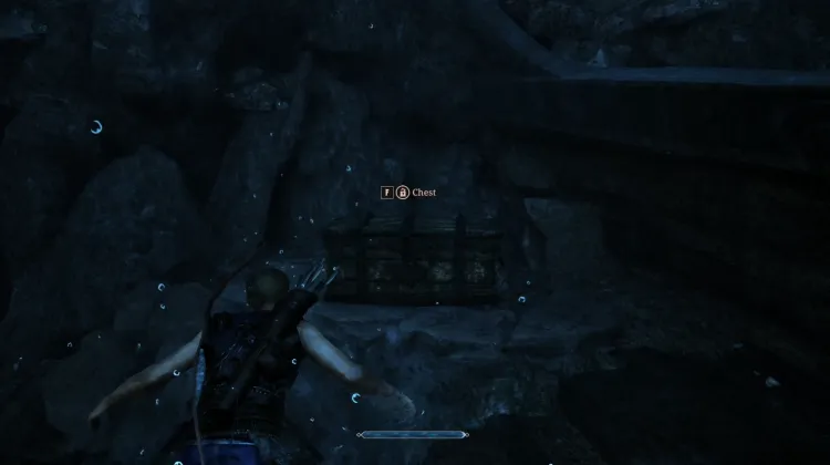 Chest