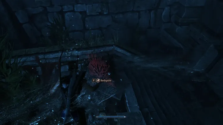 Redspine