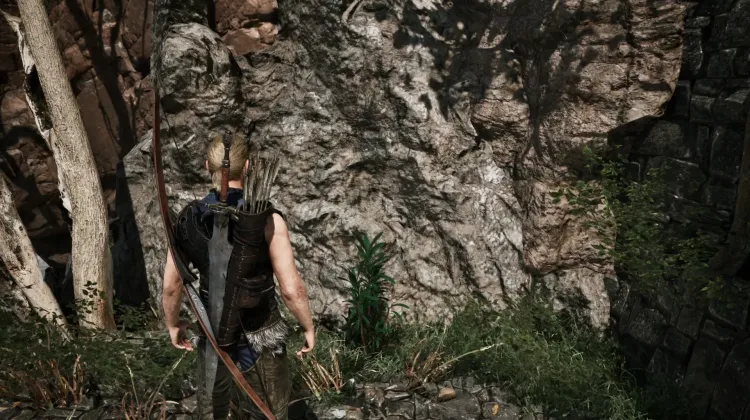 Dragonroot