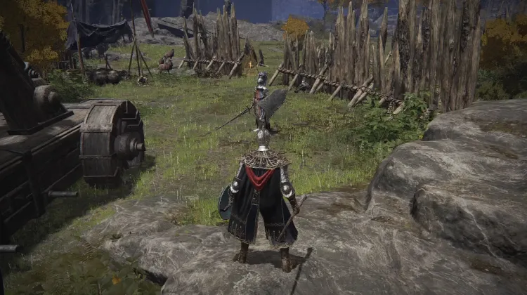 Cuckoo Knight Set