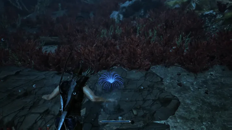 Siren's Hair