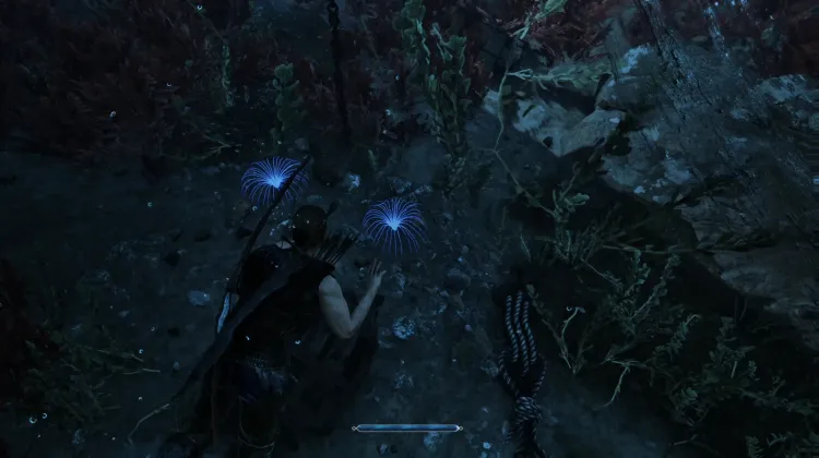 Siren's Hair