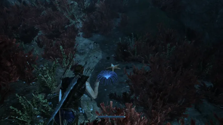 Siren's Hair