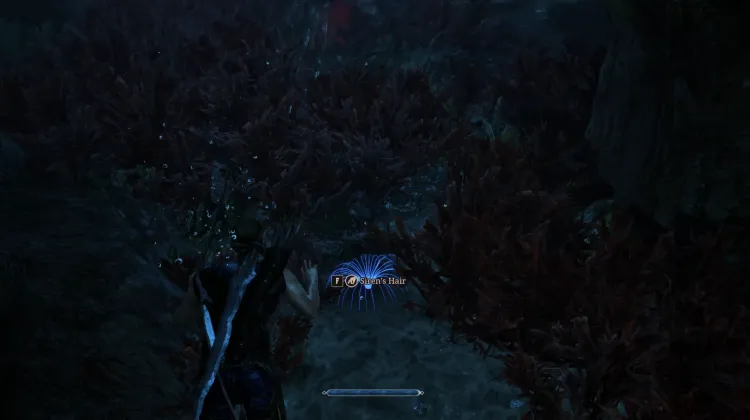 Siren's Hair