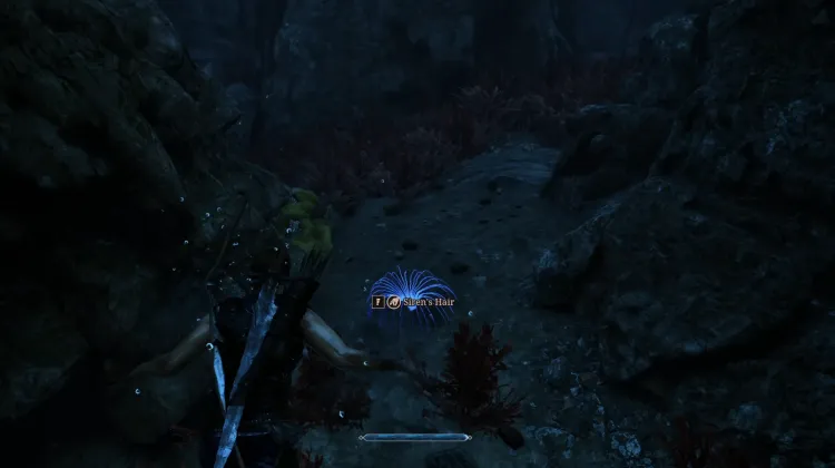 Siren's Hair