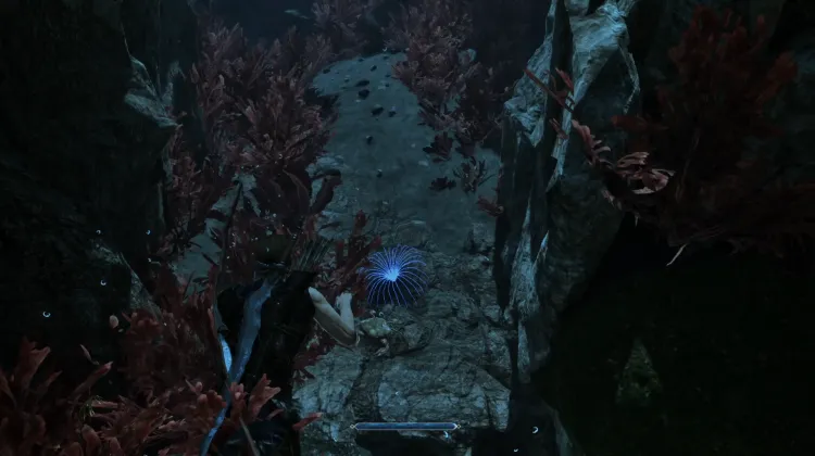 Siren's Hair