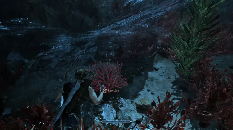 Siren's Hair