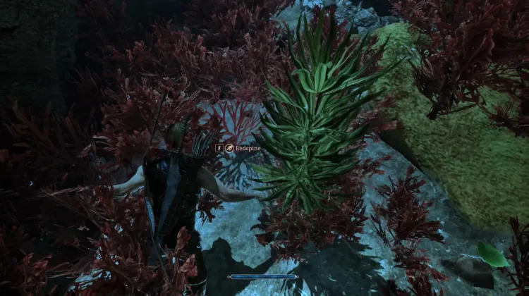 Redspine