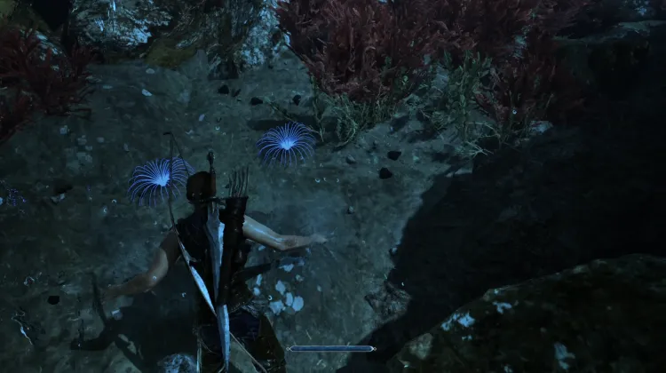 Siren's Hair 2x
