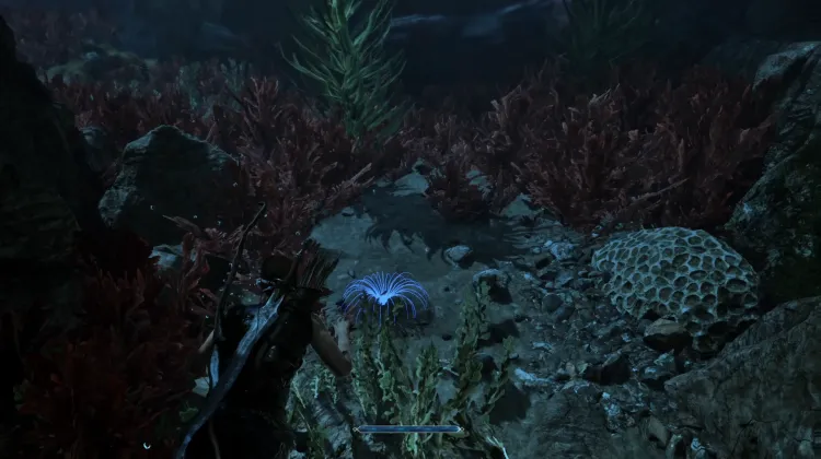Siren's Hair