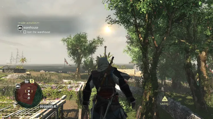Animus Fragment