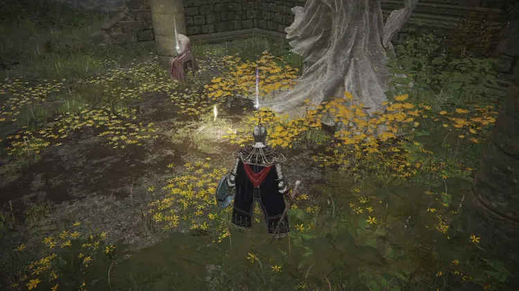 Sacred Tear