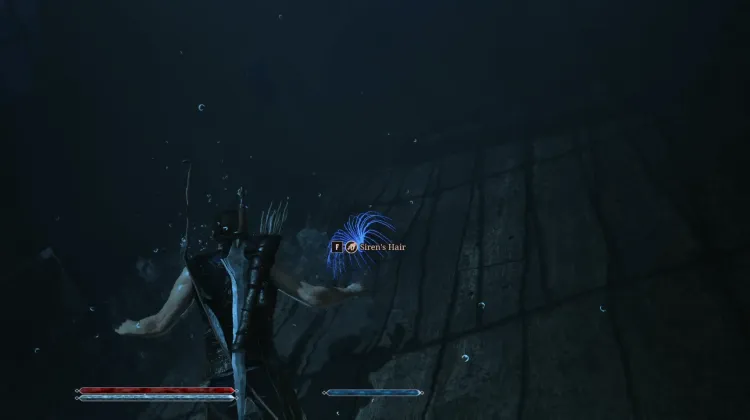 Siren's Hair