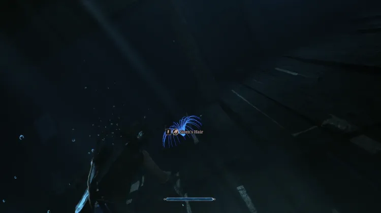 Siren's Hair