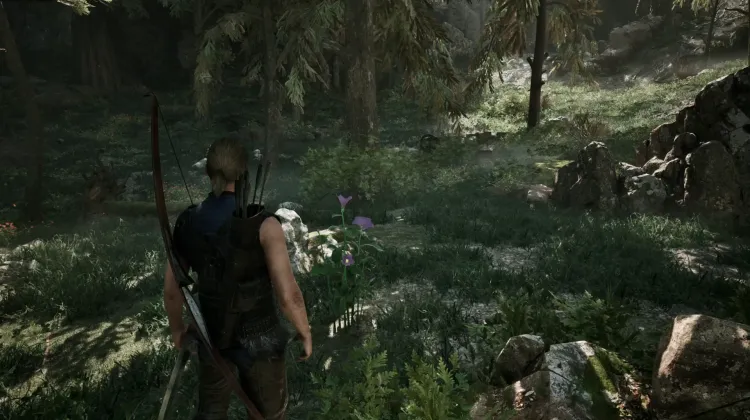 Darkshade